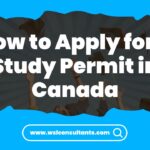 study permit