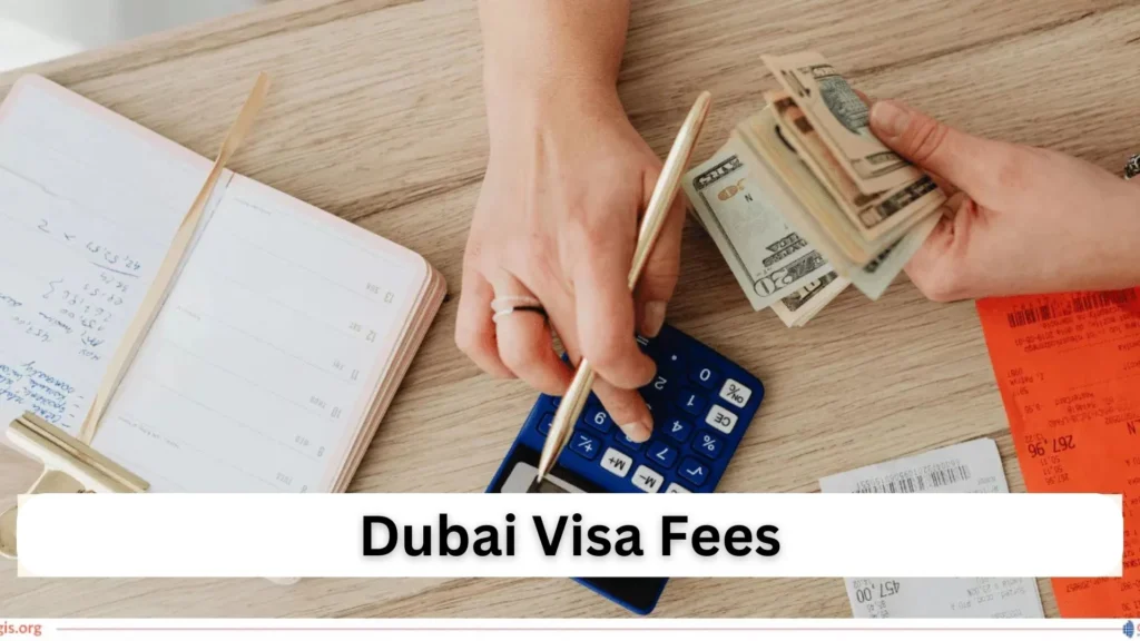 Visa Fees for Pakistani Visa from Dubai