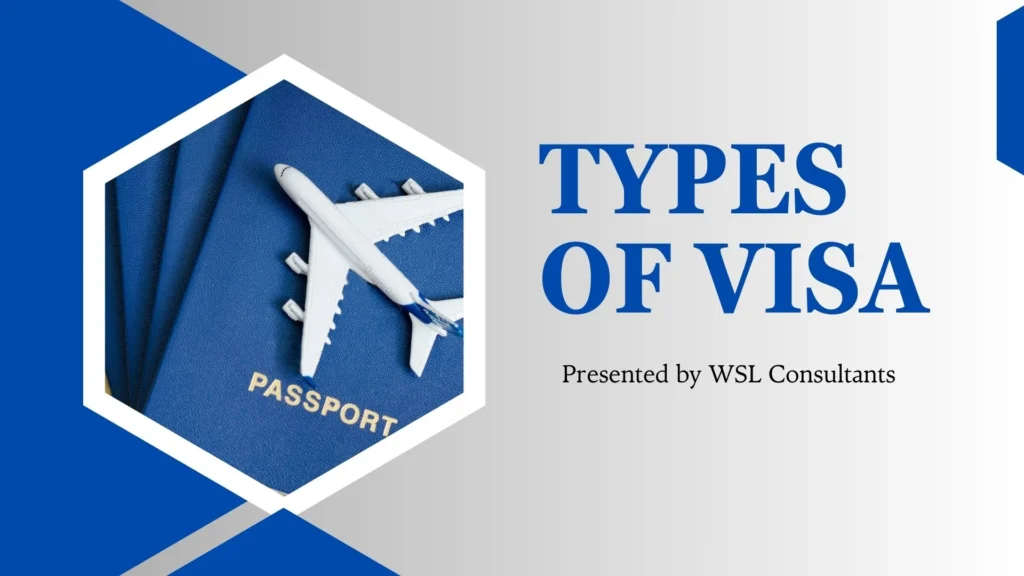 3 types of visa