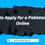 Pakistan Visa Online