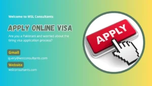 online visa apply from pakistan